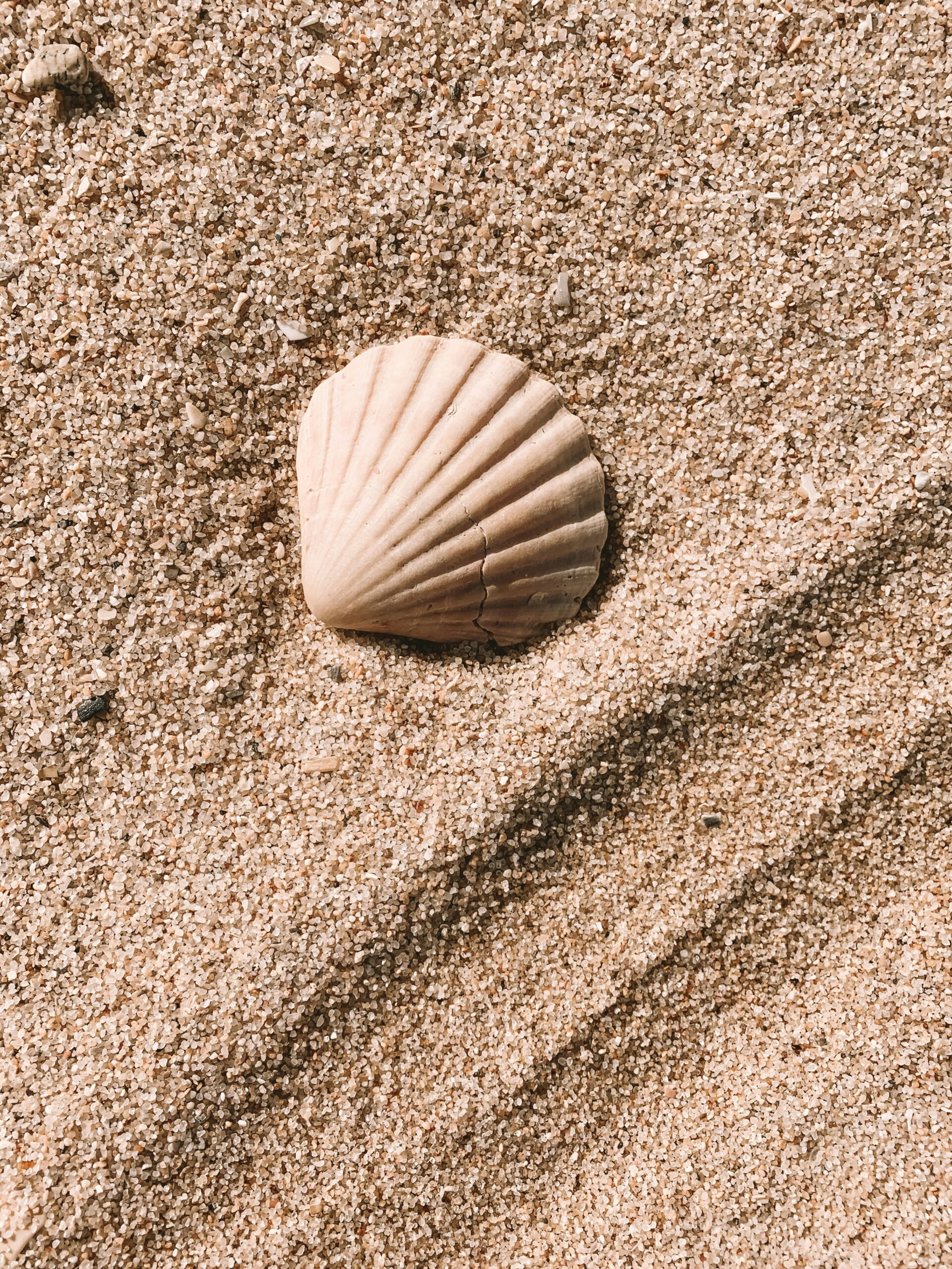 What Are The Best Beaches In Nicaragua For Seashell Collectors?
