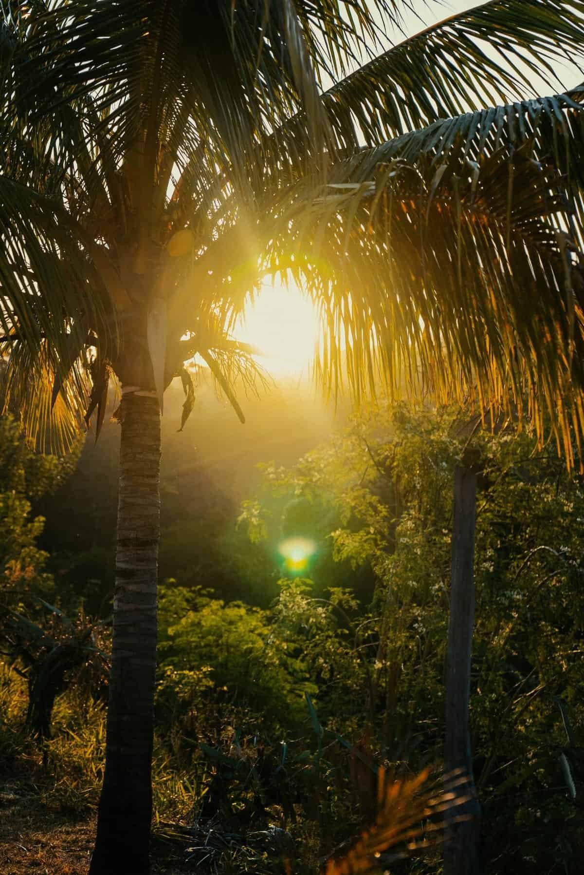 How Can I Learn About The Geological History And Formations Of Specific Beaches In Nicaragua? How Can I Learn About The Geological History And Formations Of Specific Beaches In Nicaragua?
