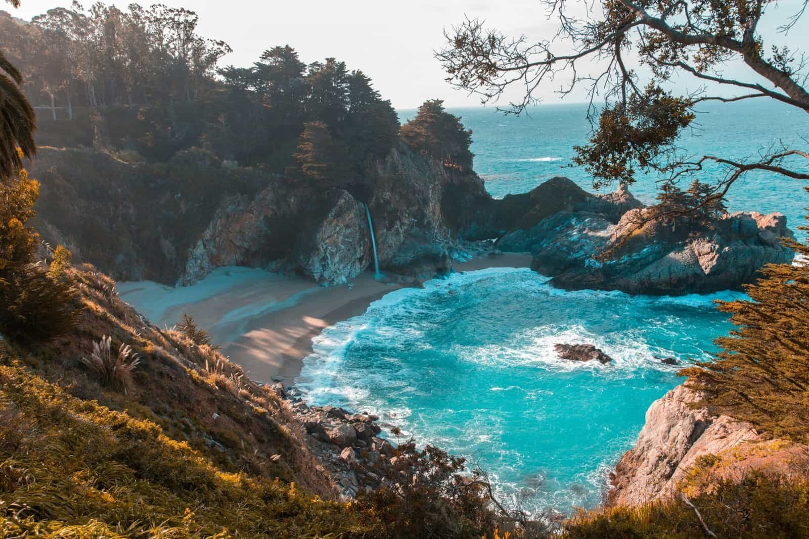 How Can I Access Information On The Accessibility Of Specific Beaches For Those With Allergies Or Dietary Restrictions?