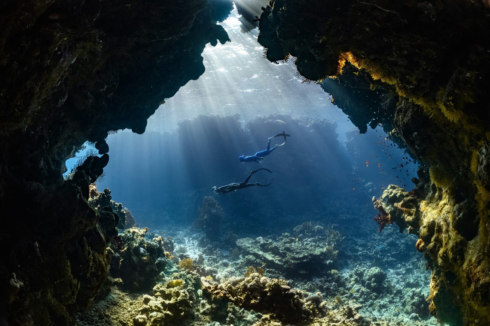 What Are The Options For Exploring Nicaraguas Underwater Ecosystems And Marine Life? What Are The Options For Exploring Nicaraguas Underwater Ecosystems And Marine Life?